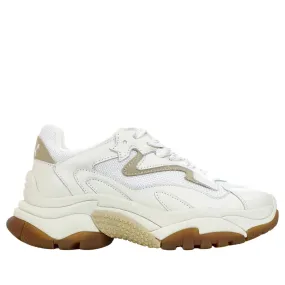ASH - Sneakers Addict